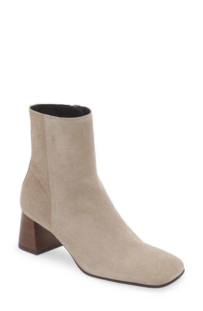 Chocolat Blu Zoan Bootie in Taupe Suede Cover