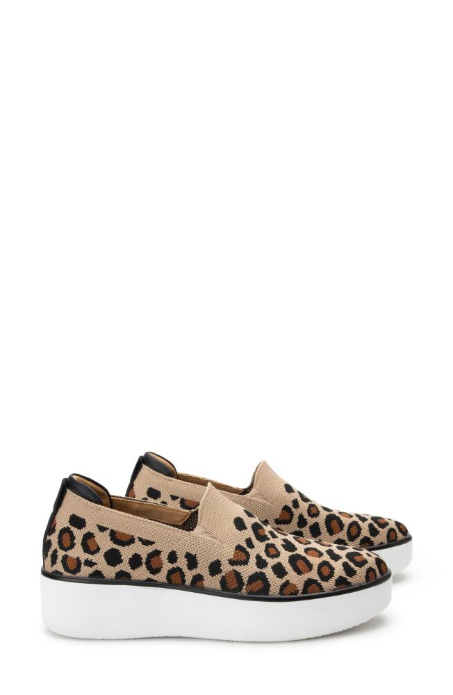 TRAQ by Alegria Mystiq Slip-On Sneaker in Peeps Leopard Fabric Cover