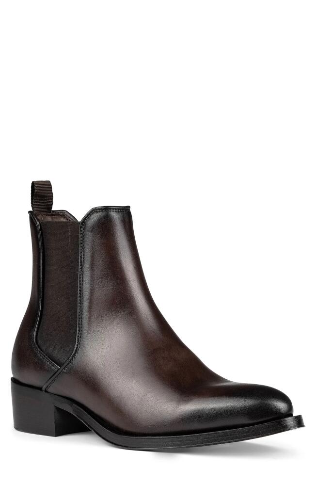 Donald Pliner Ashford Chelsea Boot in Dark Brown Cover