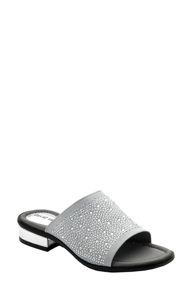 David Tate Premium Slide Sandal in Gray Cover