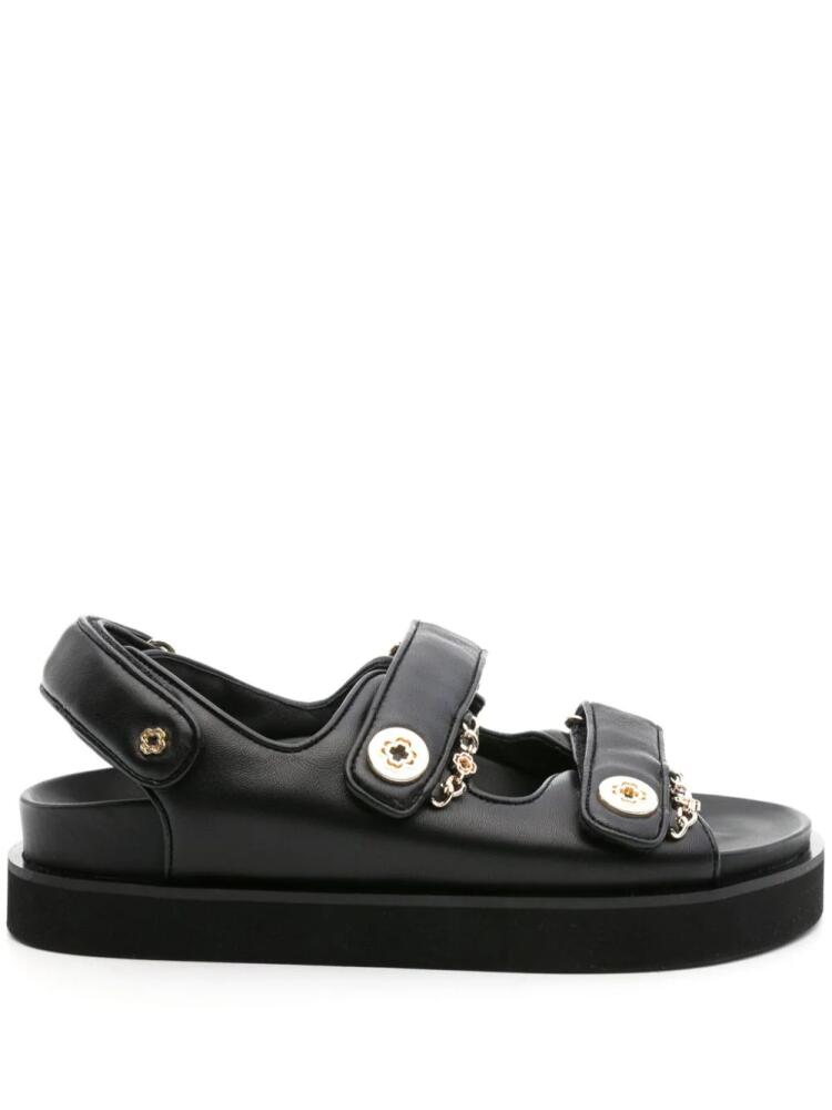 Maje touch-strap leather sandals - Black Cover