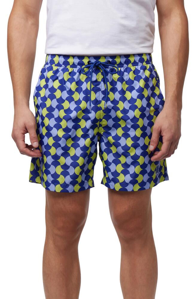 Psycho Bunny Colchester Swim Trunks in Royal Blue Cover