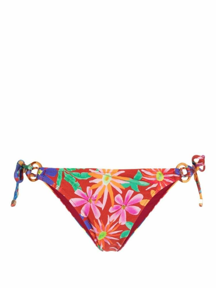 PatBO Aster floral-print bikini brief - Red Cover