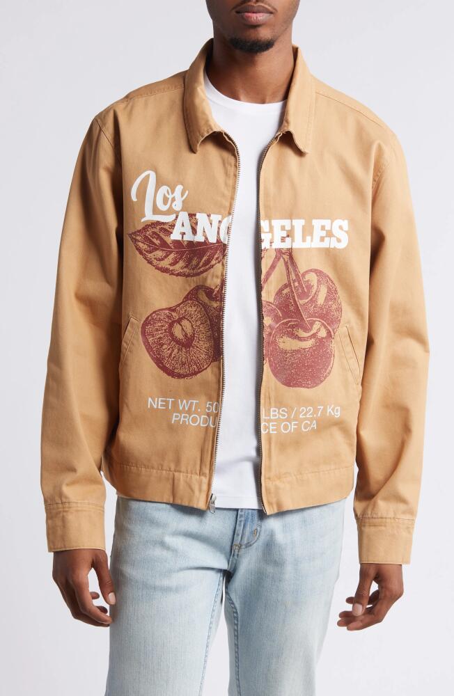 PacSun Los Angeles Cherry Jacket in Tan Cover