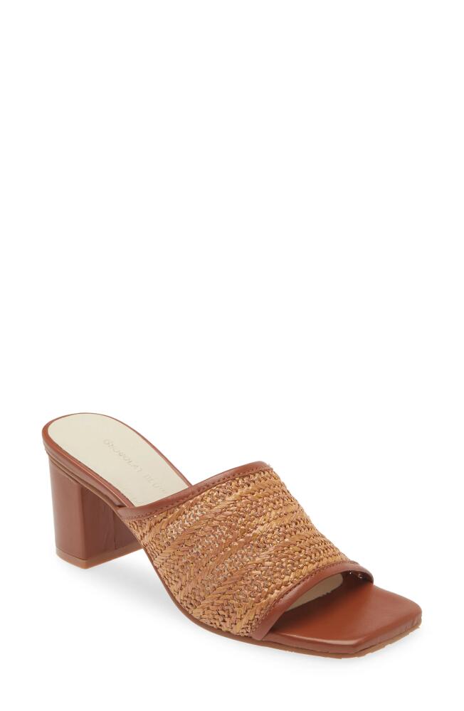 Chocolat Blu Delsy Slide Sandal in Brown Cover