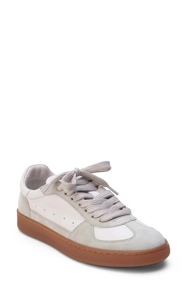 Matisse Monty Sneaker in Taupe Cover