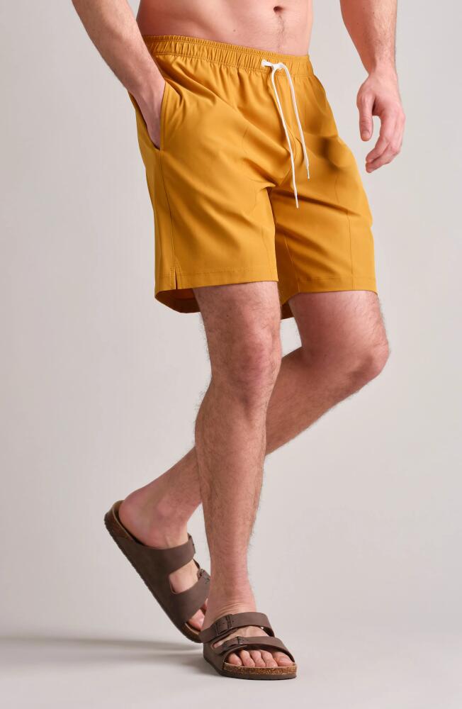 Rhone RR Swim Trunks in Harvest Brown Cover