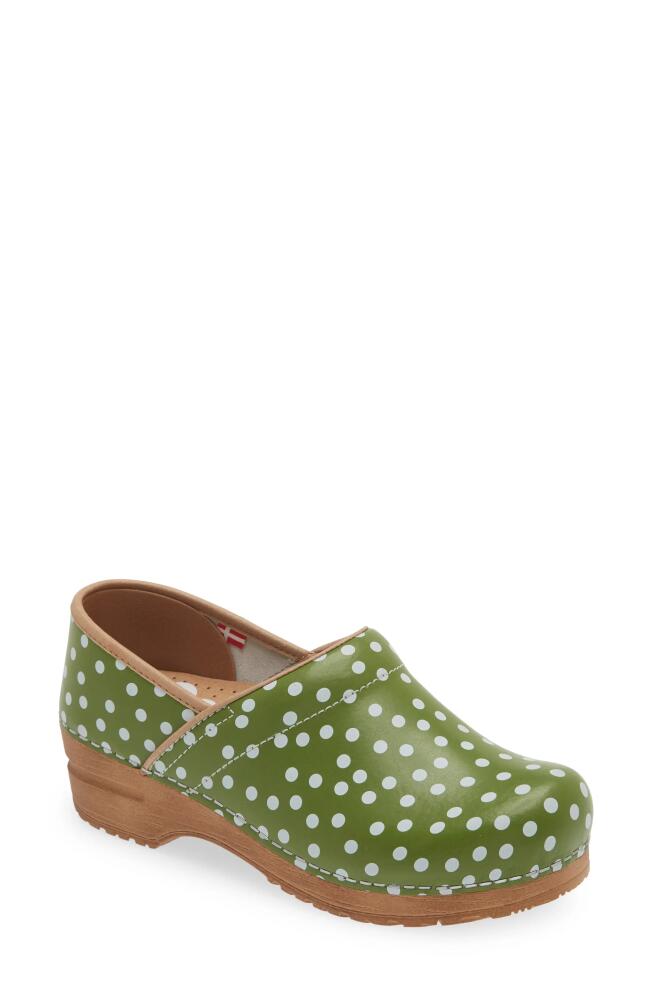 Sanita Roxbury Polka Dot Clog in Green Cover