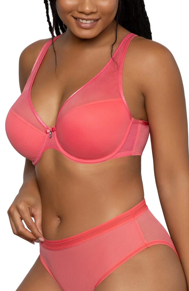 Curvy Couture Underwire Plunge Bra in Sun Kissed Coral Cover