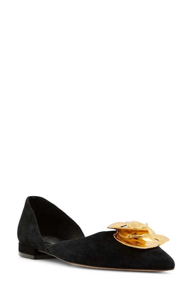 Ted Baker London Emma Rose Half d'Orsay Pointed Toe Leather Flat in Black Cover