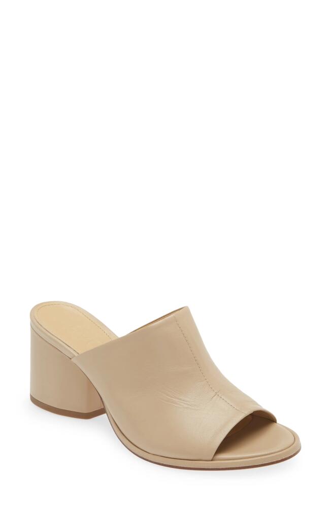 aeyde Amanda Slide Sandal in Latte Cover