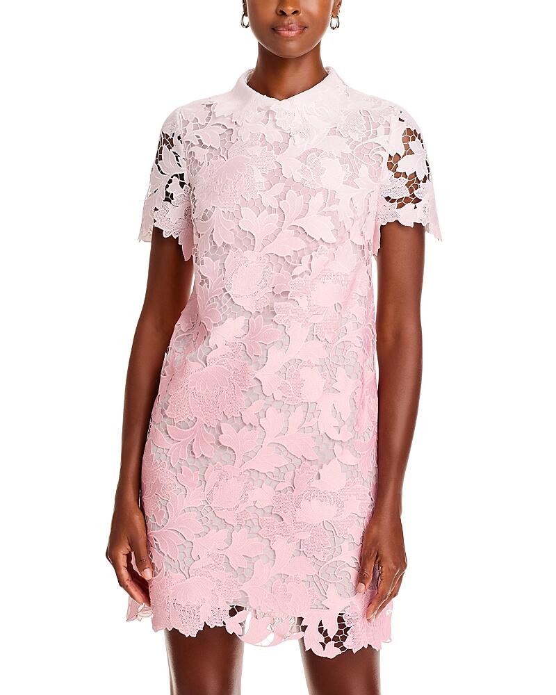 Oscar de la Renta Ombre Peony Lace Mini Dress Cover