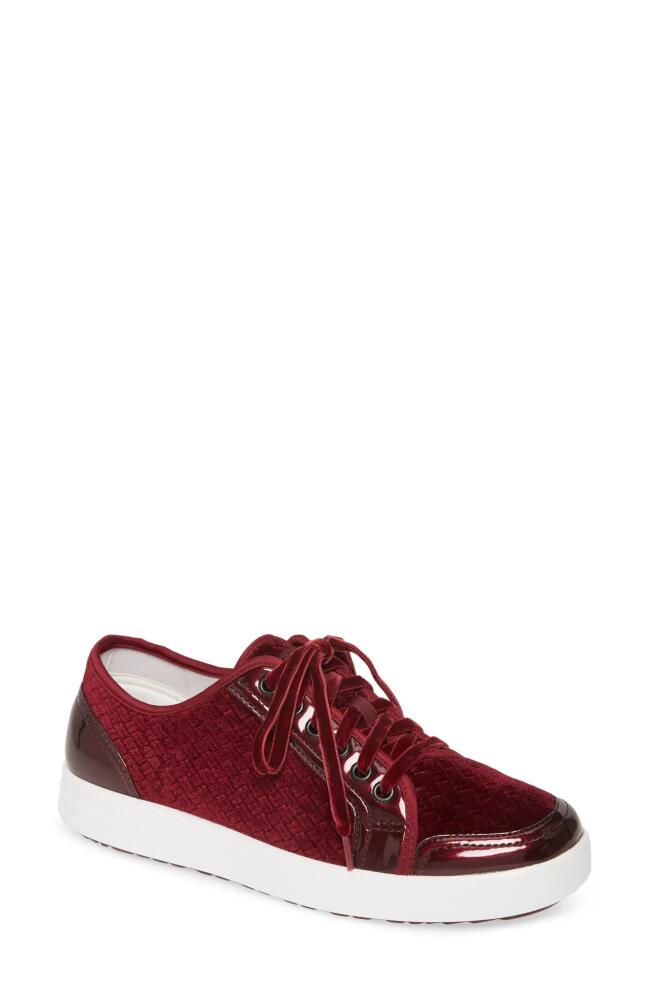 TRAQ by Alegria Alegria Lyriq Sneaker in Wine Velvet Fabric Cover