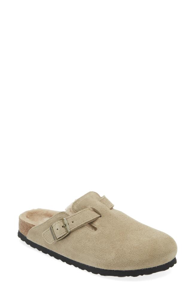 Birkenstock Boston Genuine Shearling Lined Clog in Taupe Cover