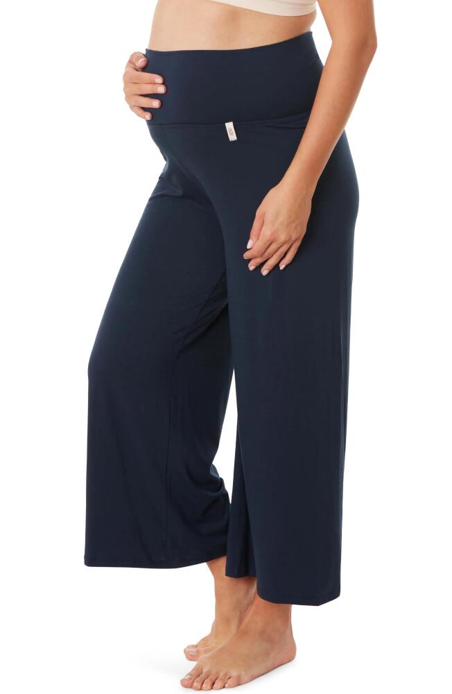 Cache Coeur Origin Wide Leg Maternity Pants in Indigo Cover