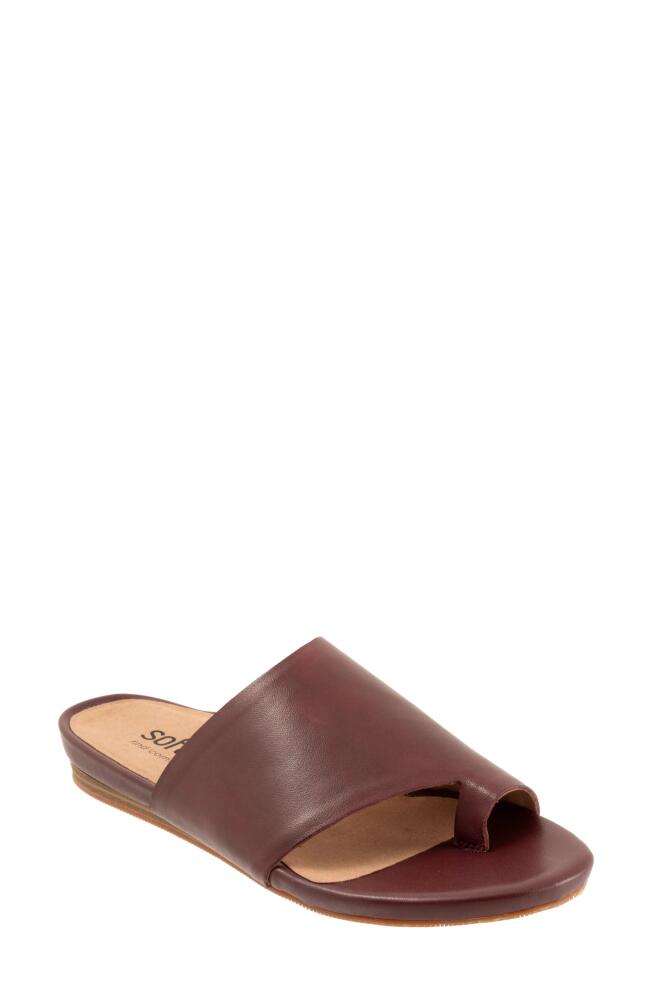 SoftWalk Corsica Slide Sandal in Mahogany Cover