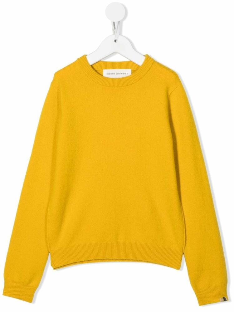 extreme cashmere ribbed-knit long-sleeved jumper - Yellow Cover