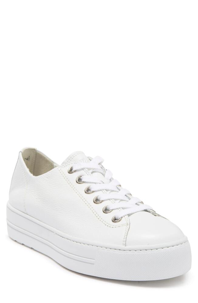 Paul Green Bixby Platform Sneaker in Wht Lea Cover