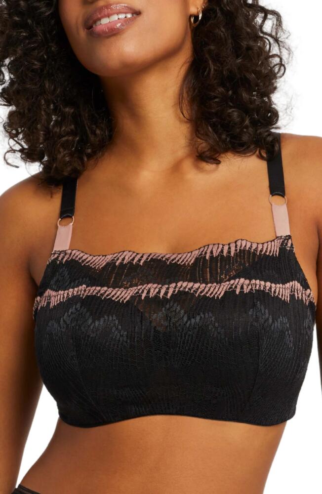 Montelle Intimates Dolce Vita Bandeau Muse Bra in Black Bloom Cover