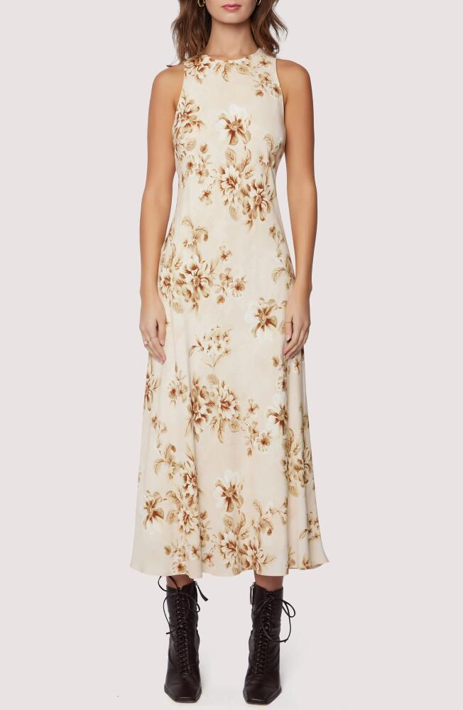 Lost + Wander Dreams of Iris Midi Dress in Cream Floral Cover