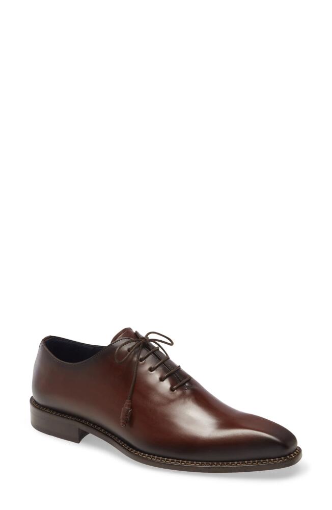 Mezlan Enterprise Wholecut Oxford in Brown Leather Cover