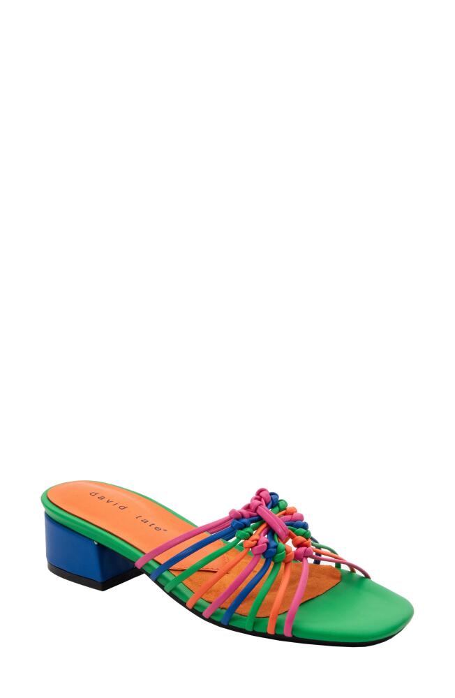 David Tate Excellent Strappy Slide Sandal in Bright Multi Cover