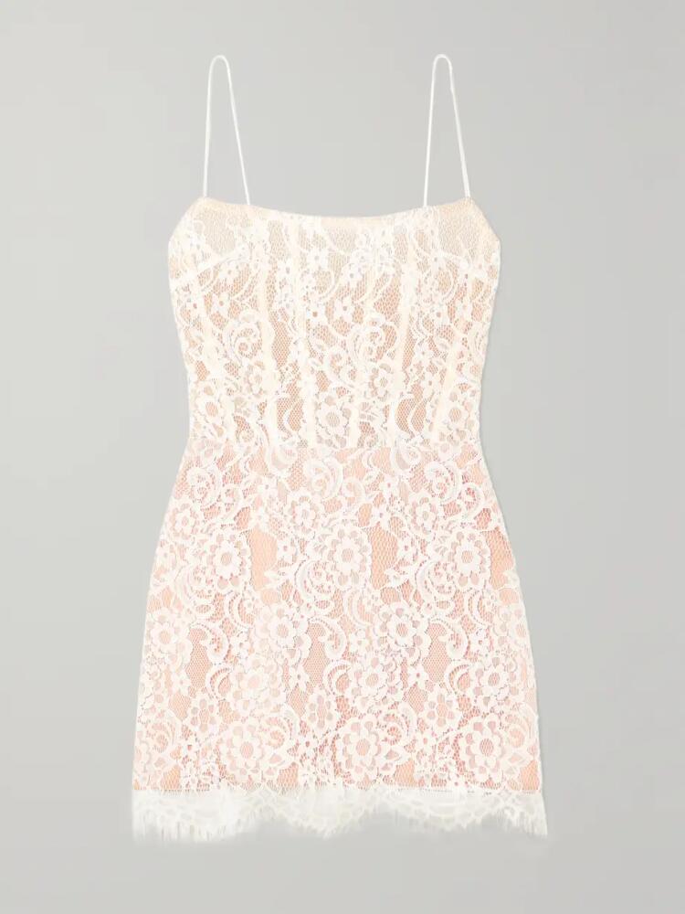 RASARIO - Lace And Tulle Mini Dress - White Cover