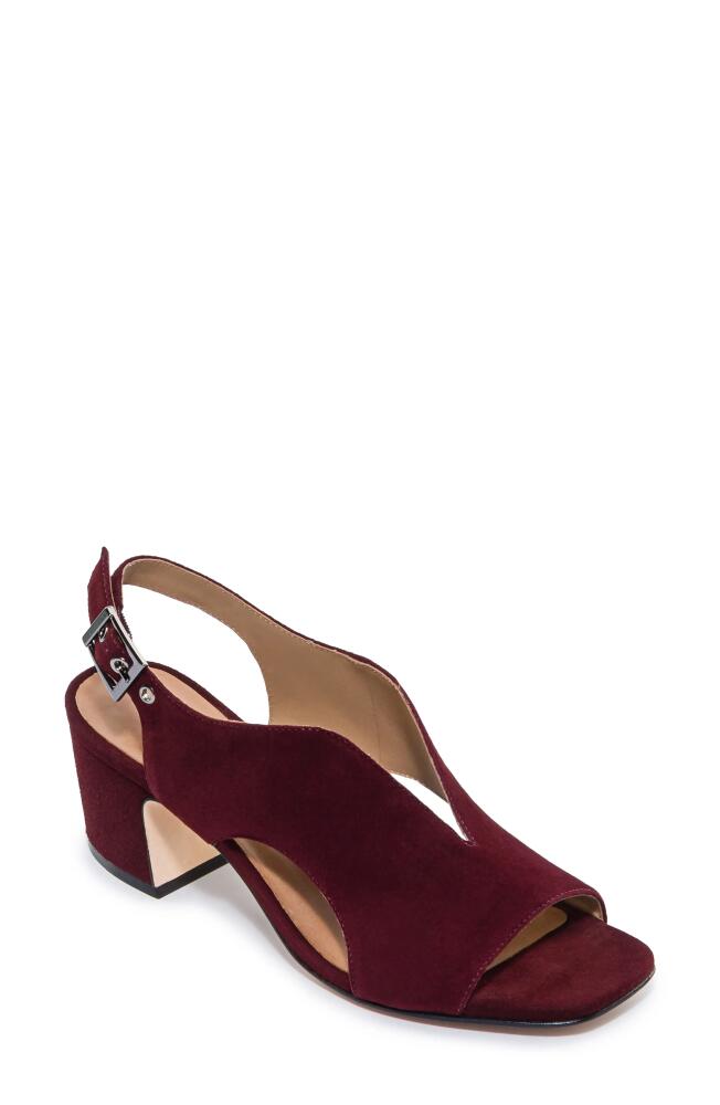 Bernardo Footwear Bedford Slingback Pump in Aubergine Cover