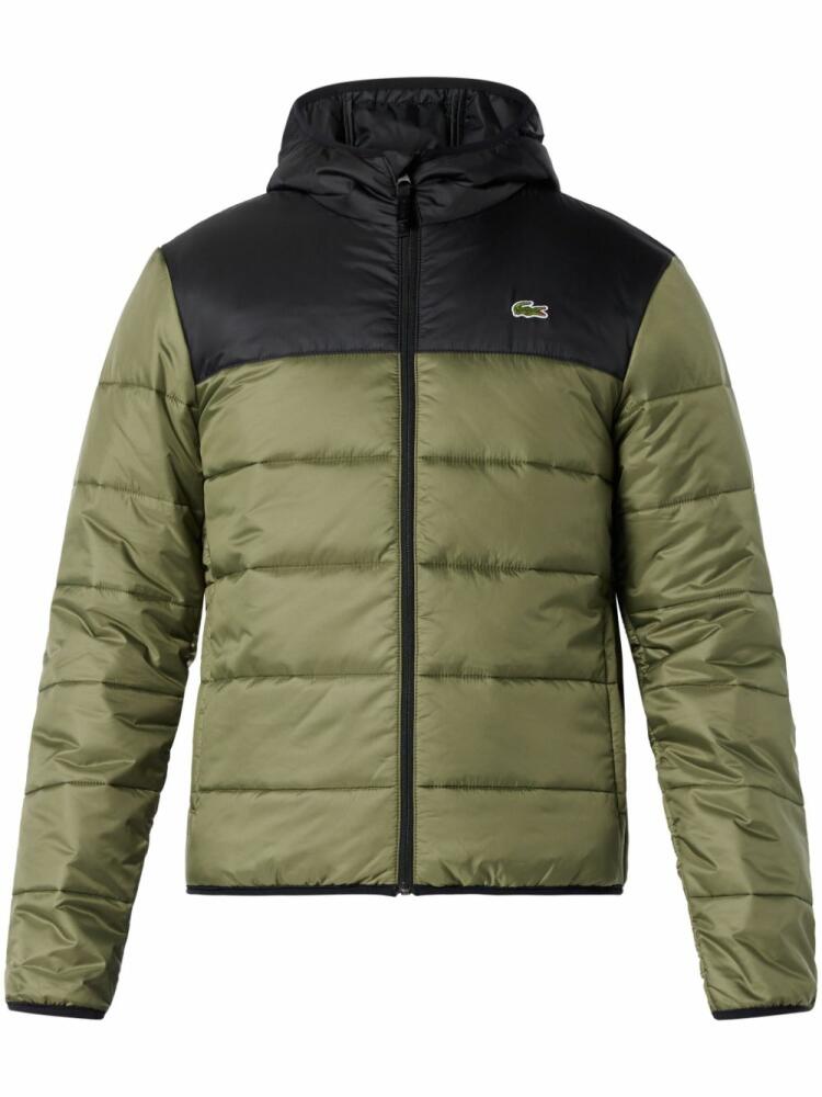 Lacoste quilted padded jacket - Green Cover