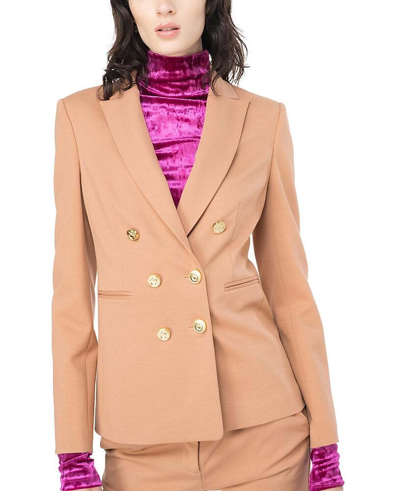 Pinko Alexia Blazer Cover