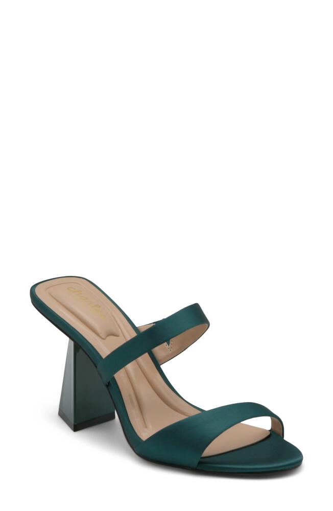 Charles by Charles David Kami Slide Sandal in Hunter Green Cover