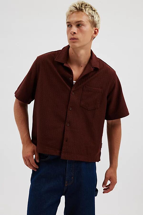 Standard Cloth Liam Cropped Knit Shirt Top in Brown Cover