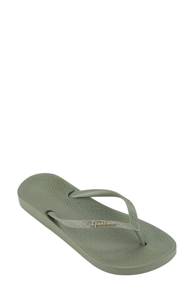 Ipanema Ana Colors Flip Flop in Army Green Cover