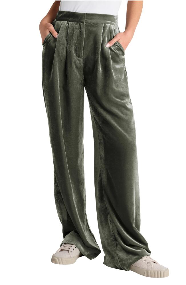 Splendid Irene Velvet Wide Leg Pants in Olive Cover