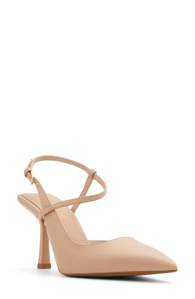 ALDO Brunette Pointed Toe Pump in Bone Cover