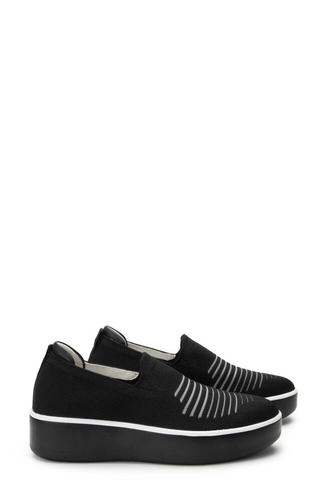 TRAQ by Alegria Mystiq Slip-On Sneaker in Peeps Black Fabric Cover