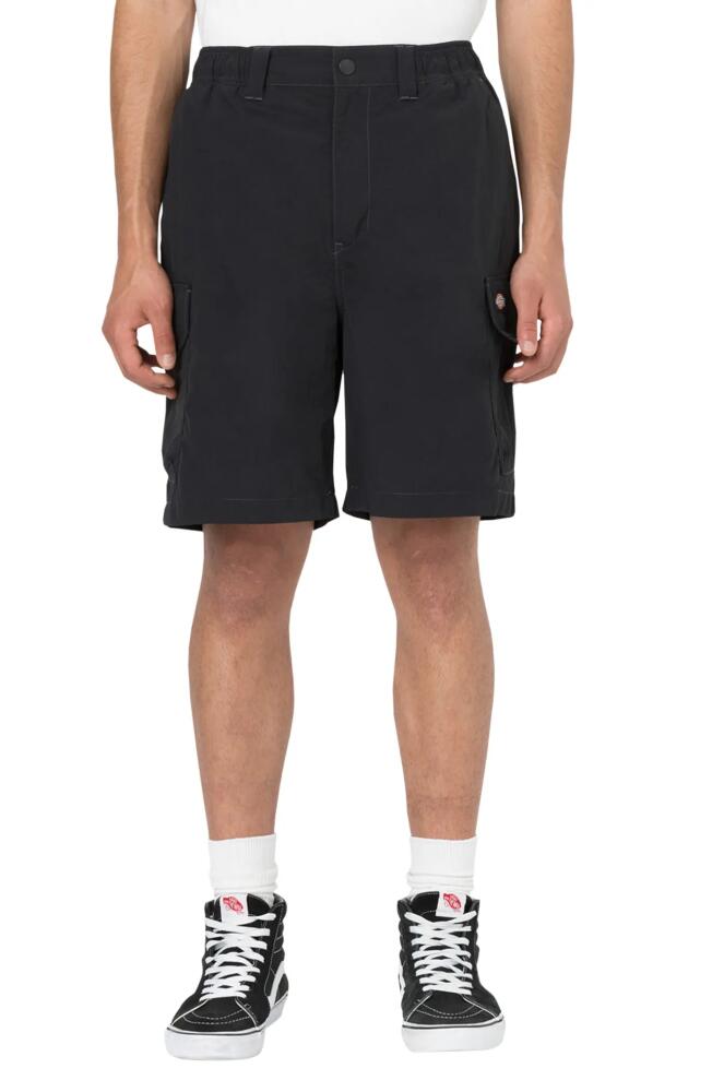 Dickies Jackson Nylon Cargo Shorts in Black Cover