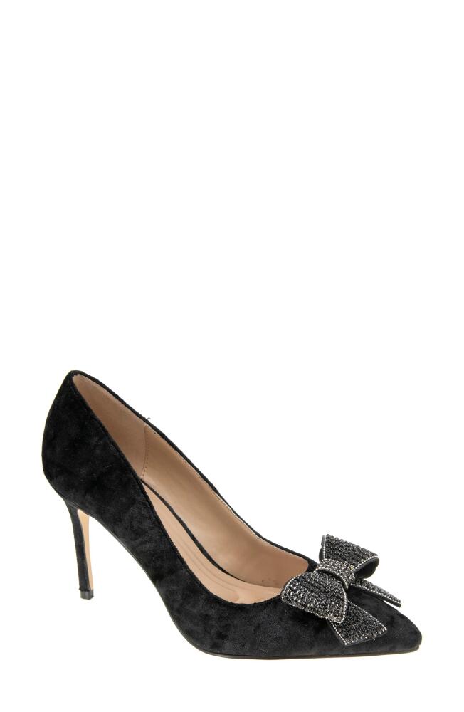 bcbg Bissha Pointed Toe Pump in Black Cover