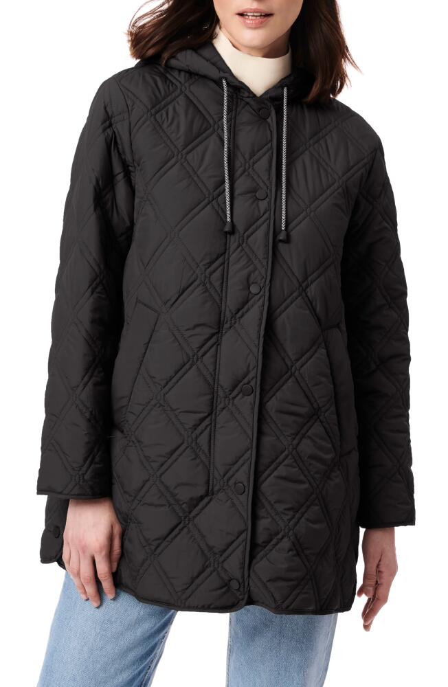 Bernardo Hooded Quilted Liner Jacket in Black Cover