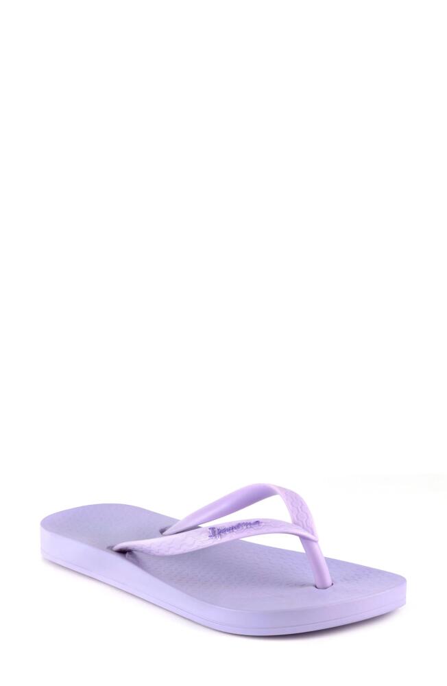 Ipanema Ana Colors Flip Flop in Lilac Cover