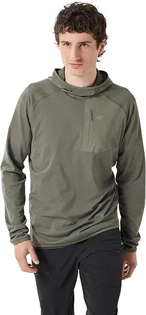 Arc'teryx Delta Pullover Hoody (Forage) Men's Coat Cover