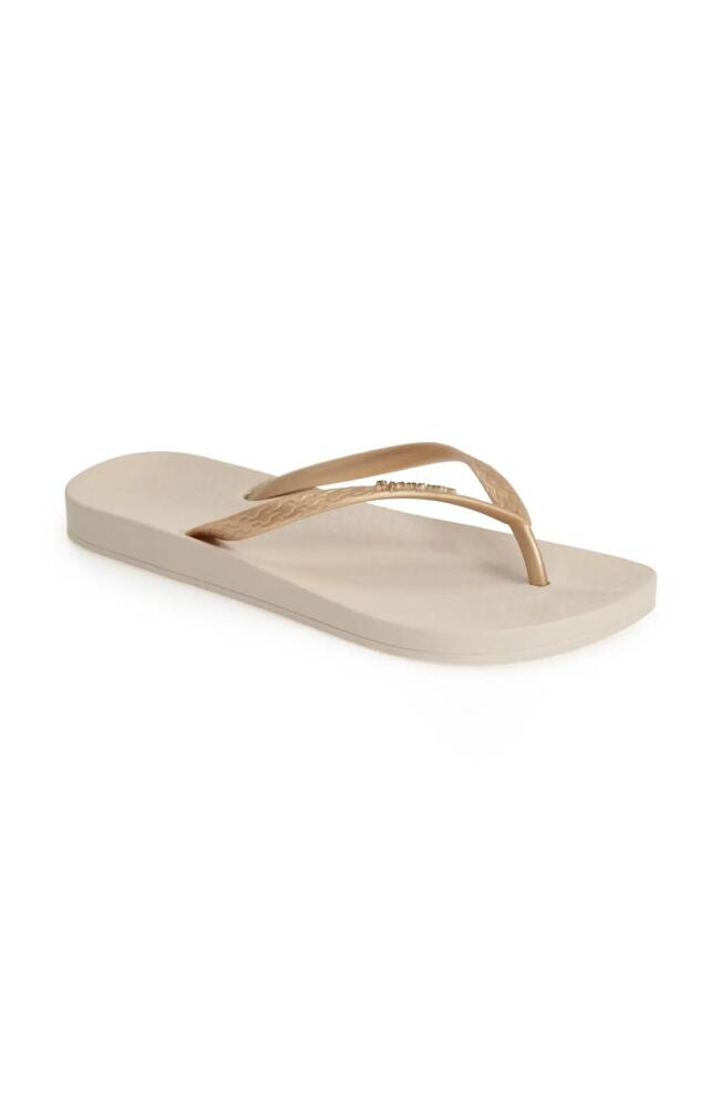 Ipanema 'Ana' Flip Flop in Beige/Gold Cover