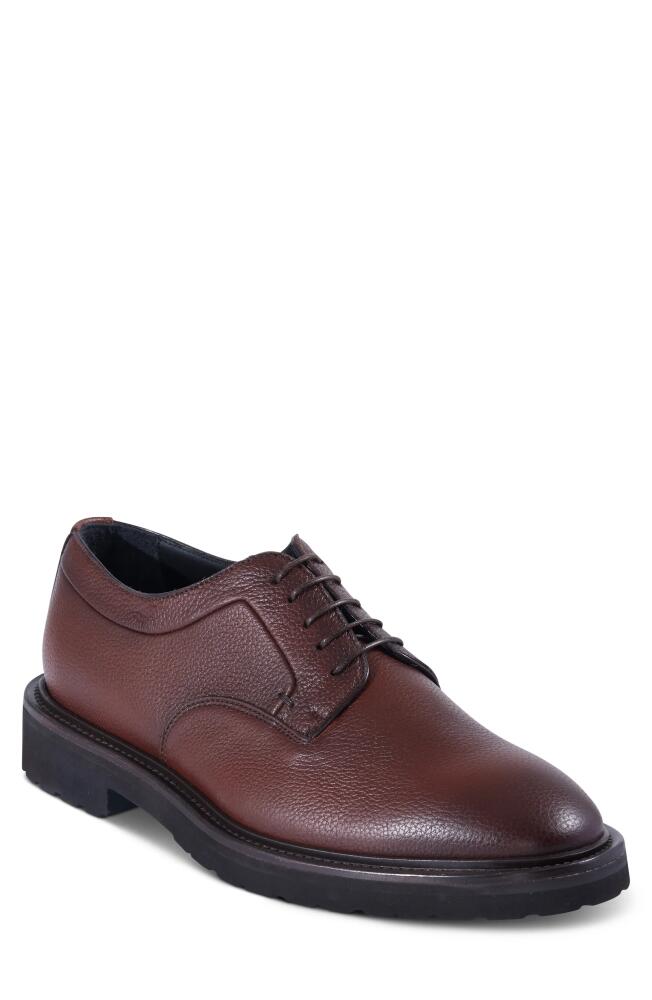 Paul Stuart Barlett Plain Toe Derby in Cognac Cover