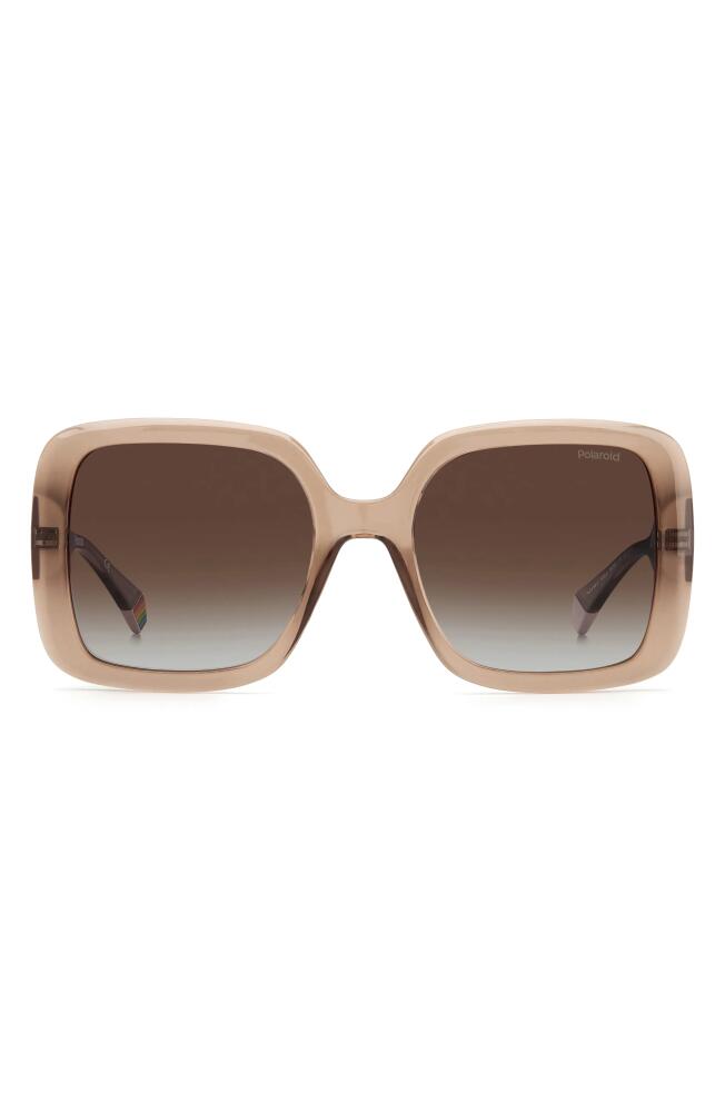 Polaroid 54mm Polarized Square Sunglasses in Beige /Brown Grad Polar Cover