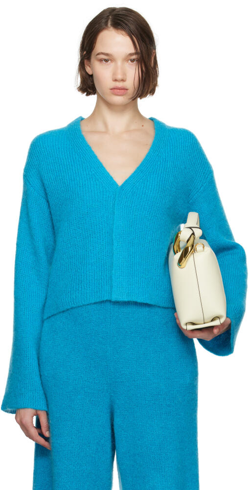 JW Anderson Blue V-Neck Cardigan Cover