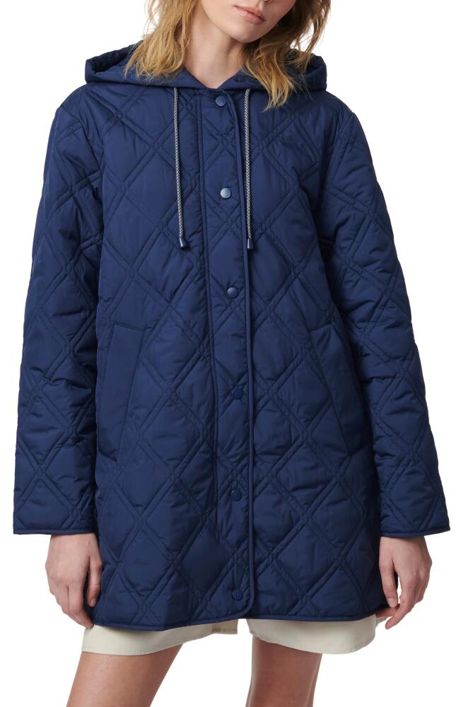 Bernardo Hooded Quilted Liner Jacket in Night Shadow Cover