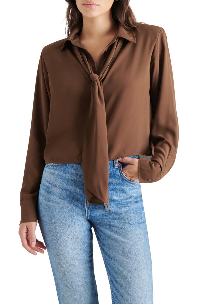 Steve Madden Noelle Tie Neck Shirt in Coco Cover