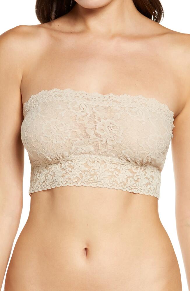 Hanky Panky 'Signature Lace' Bandeau Bra in Chai Cover