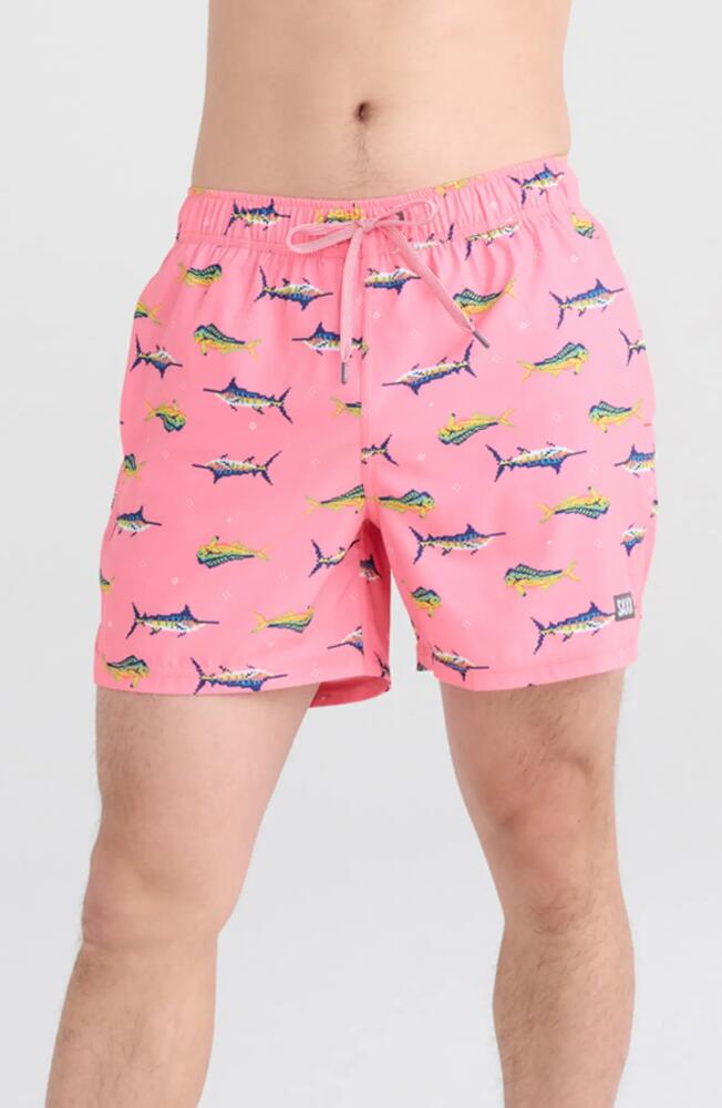 SAXX Oh Buoy Stripe 2-in-1 Hybrid Shorts in Trophy Catch- Flamingo Cover