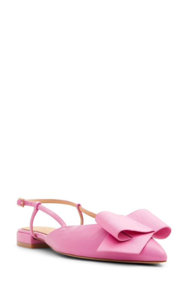 Ted Baker London Emma Bow Slingback Pointed Toe Flat in Bright Pink Cover